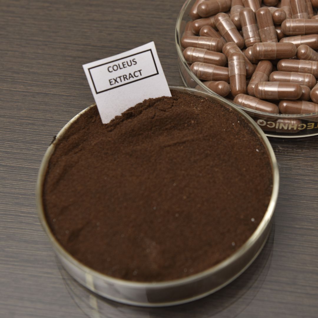 Star Hi Herbs Launches Organic Coleus Forskohlii Extract