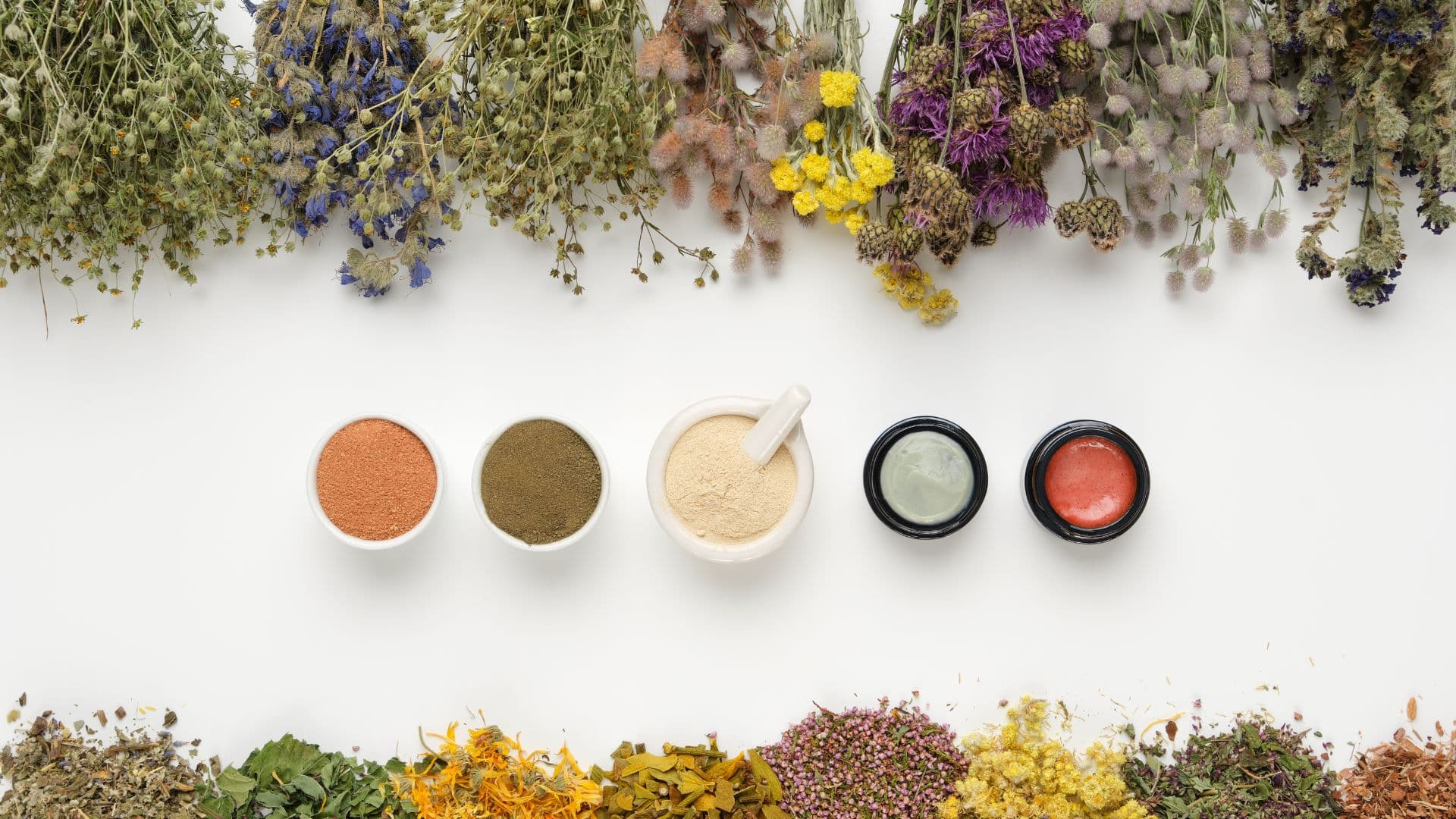 Key Differences Between Standardized and Raw Herbal Extracts: A Procurement Manager's Guide
