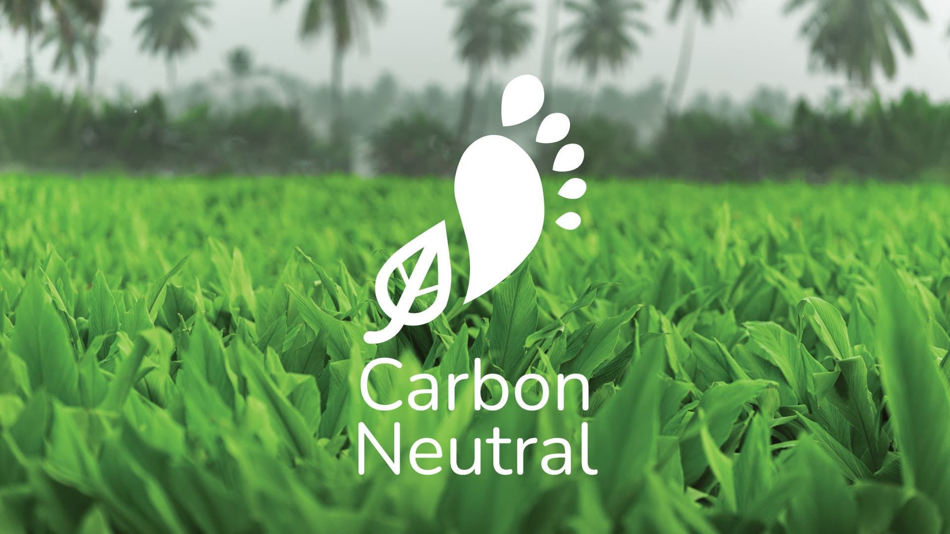 Carbon Neutral